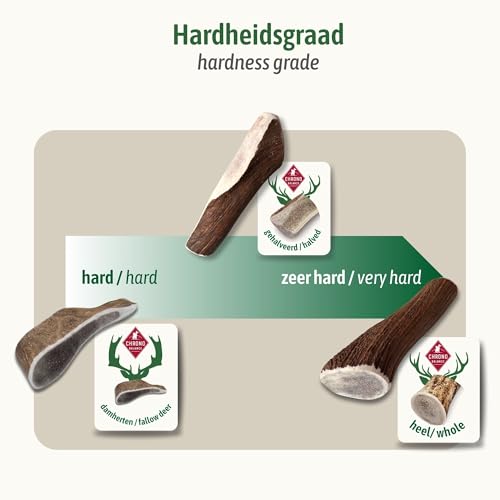 ChronoBalance® XL Kaustange für Hunde ganze Stücke als Kauspielzeug: 100% Hirschgeweih für Hunde, Hundespielzeug, Leckerli Zahnpflege, Kausnack, Geweih Kauknochen, Natürlich ohne Zusätze (1er Set)