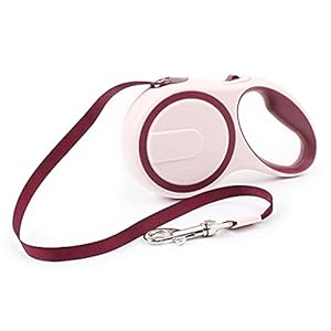 YINGNBH Lijn 3M/5M Nylon Automatische Intrekbare Hondenriem Verstelbare Pet Walking Training Uitbreiding Tractie Touw…