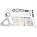 CAV DPA Injector Pump Repair Kit 7135-110 For Ford Massey Ferguson