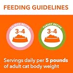 IAMS Perfect Portions Indoor Adult Grain Free Wet Cat Food Pate, Turkey and Salmon Recipe, 2.6 oz. Twin-Pack Trays (12 Count, 24 Servings) (Pack of 2) - Image 6