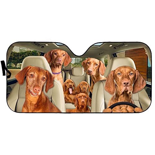 Parasol coche delantero universal térmico paraguas luna Vizsla M