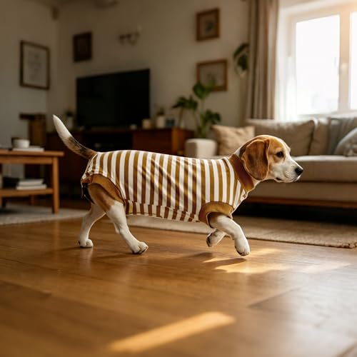 Image of Dog Surgery Recovery Suit Spay Recovery Onesie for Female Male Dogs | Soft,Breathable,Anti-Licking,Post-Op,Surgical Suit,for Abdominal Wounds,Alternative to E-Collar Cone,for Large Pets Brown XL