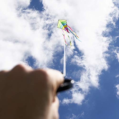 THE TWIDDLERS Piccolo Aquilone Arcobaleno per