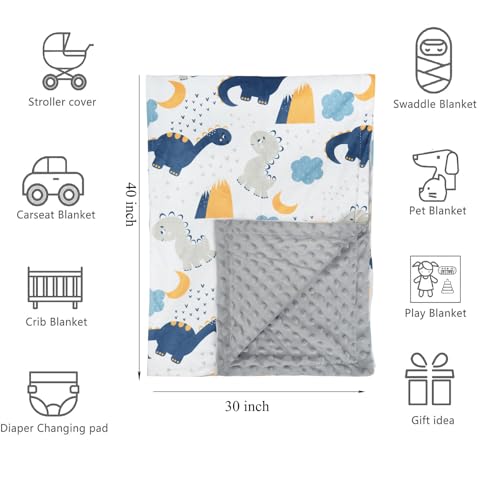 Image of Baby Blanket for Girls Boys Animal Minky Super Soft Double Layer Receiving Blanket with Dotted Backing for Newborns Nursery Stroller Receiving Toddlers Crib Bedding 30x40Inch (Cartoon Dinosaur)