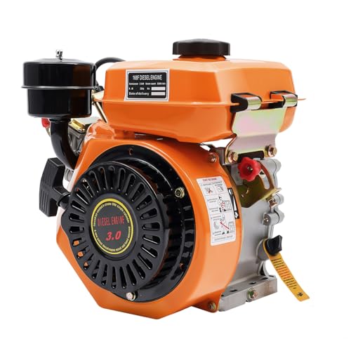 LNUJIUN 196CC 3HP Diesel Engine 4-Stroke Single Cylinder Air-Cooled Industrial Motor w/Direct Injection & Manual Recoil Start for Generator Agricultural Machinery-Flat Key 20 Axes