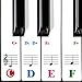 Piano Keyboard Stickers Specially for 61/54/49/37 Key.Colorful Bigger Letter,Thinner Material,Transparent Removable,with Cleaning Cloth