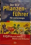 BLV Buchverlag