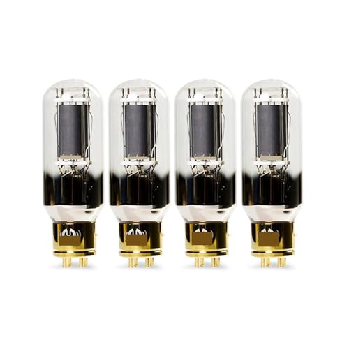 FLEYYXBN Vacuum Tube 805A-T Audio Tube Amplifier kit DIY with Four-Way(4 PCS)