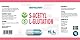 S-Acetylglutathion 100mg 60 Vegan Kapseln, Laborgeprüft, Hochdosiert, Nicht GVO