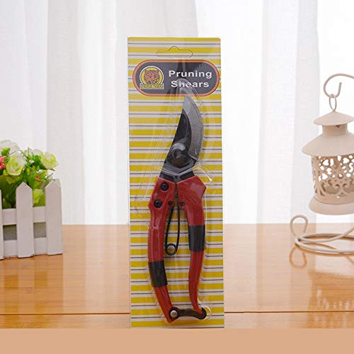 Tijeras de podar de Acero Inoxidable, Herramienta de injerto de jardinería, Herramientas de poda de árboles frutales, Tijeras de podar Antideslizantes para podar Jardines