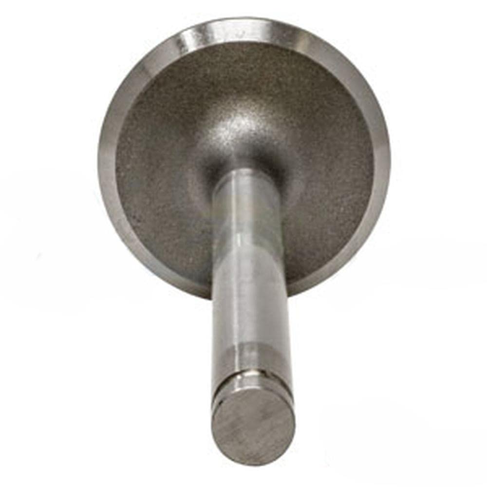 Amazon.com: RAParts PK-M-31431315-V Valve, Intake 31431315 