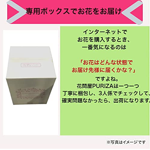 かすみ草 様♡ AZONE INTERNATIONAL::えっくす☆きゅーと
