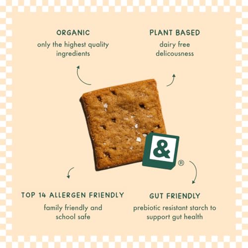 Fair & Square Gluten Free Sea Salt Crackers | Organic, Vegan, Dairy Free, Allergen Friendly, Prebiotic, Gut Friendly, Grain Free, Nut Free, Sugar Free, Kosher | 4 oz (Pack of 2)