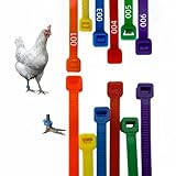 QurXaKa Vibrant 120Pcs Chicken Leg Bands