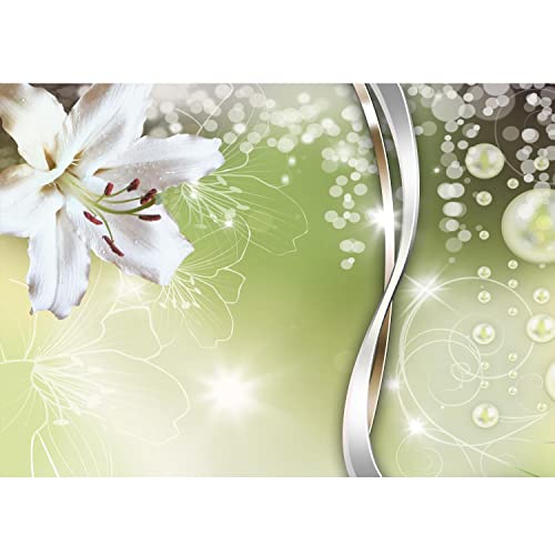 Runa Art Fototapete Blumen Lilien Modern Vlies Wohnzimmer Schlafzimmer - Made in Germany - 308 x 220 cm Grün 9077010a Runa Art Fototapete Blumen Lilien Modern Vlies Wohnzimmer Schlafzimmer - Made in Germany - 308 x 220 cm Grün 9077010a