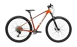 Pells Razzer 2 Midseason Copper S | Flexibles Hardtail-Mountainbike für Alltag...