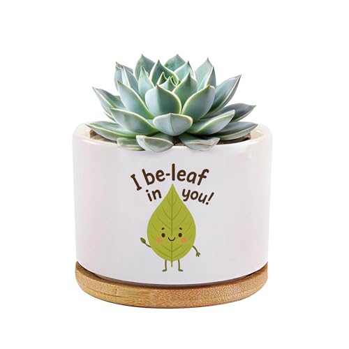Loovelo I Be-Leaf in You Plant Lover Gifts Funny Humor Inspirational Motivational Gifts Gardener Gardening Ceramic Succulent Plant Pot with Bamboo Tray Round Home Office Decor 3.5 Inch White