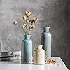 CwlwGO- Ceramic Vase 3 Piece Set, Small Flower vases for Home Decoration, Modern Farmhouse Decoration, Living Room,Table Shelf, Centerpieces, Fireplace and Entrance Decorations-Multicolor. #3