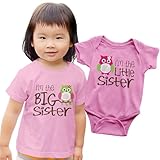 Nursery Decals and More, Matching Family Outfits, Family Outfits Matching Sets, Owl Big Sister/Owl Little Sister, Big Sibling 2T / Lil Sibling NB (0-3M)