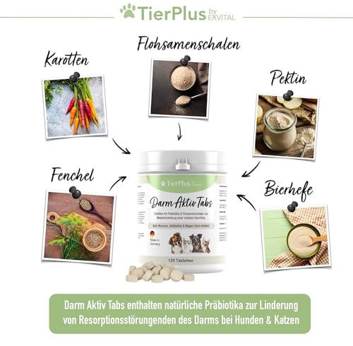 EXVital TierPlus Darm Aktiv Tabletten für Hunde & Katzen, Präbiotika Komplex für eine gesunde Darmflora- Nach Durchfall, Wurmkur, Antibiotika & Magen-Darm Infekten, 120 Tabletten, Made in Germany