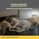 Furbo 360° Hundekamera [Basic Kamera]: Haustierkamera mit App, Rotierende 360° Sicht, Farbnachtsicht, Tracking, Leckerliwurf, Bell-Alarm, der Favorit von Haustierbesitzern auf der ganzen Welt