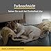 Furbo 360° Hundekamera [Basic Kamera]: Haustierkamera mit App, Rotierende 360° Sicht, Farbnachtsicht, Tracking, Leckerliwurf, Bell-Alarm, der Favorit von Haustierbesitzern auf der ganzen Welt