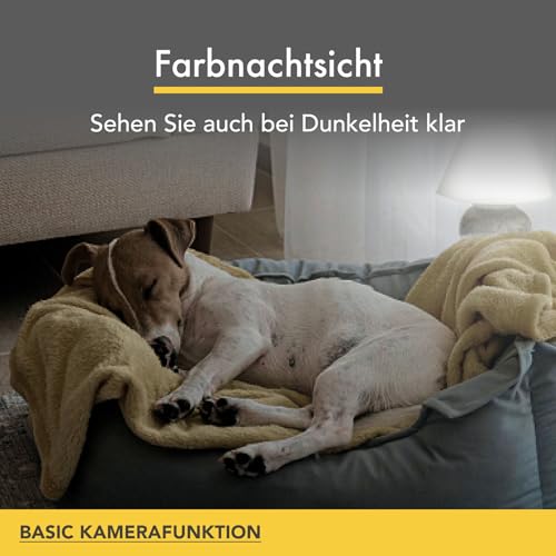 Furbo 360° Hundekamera [Basic Kamera]: Haustierkamera mit App, Rotierende 360° Sicht, Farbnachtsicht, Tracking, Leckerliwurf, Bell-Alarm, der Favorit von Haustierbesitzern auf der ganzen Welt