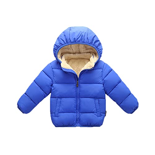 Winter Jackets for Kids Baby Boys Girls Padded Light Puffer Jacket Outerwear Infant Winter Down Jacket with Hoods ( 2-3 Year )