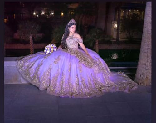 2025 Pearl Sheer Illusion Neck Ball Gown Gold Embroidery Quinceanera Prom Party Dresses with Long Sleeves3