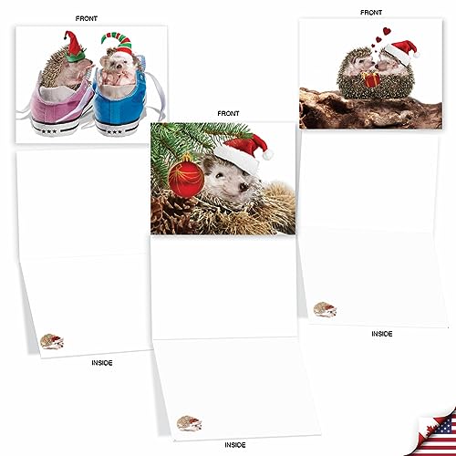 Image of The Best Card Company - 10 Assorted Blank Christmas Greeting Cards w /Envelopes, Animal Humor Variety Pack for Men and Women, Men and Women (10 Designs, 1 Each) - Holiday Cards from the Hedge M6541XSB