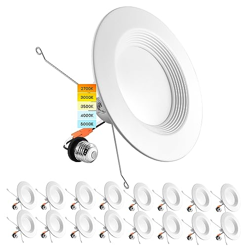 LUXRITE 5/6 in LED Recessed Retrofit Downlight 14W