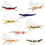 16 Chubby Chernobyl Ant Fly Fishing Flies Kit Fly Assortment Trout Bass Pike Baitfish Fishing Dry/Wet Flies, Nymphs, Streamers, Popper