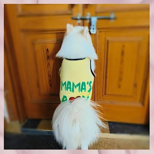 Image of Lulala Polyester Dog Shirts with Mama's BOY Pattern Casual T-Shirt Summer Printed Soft Breathable Puppy Sweatshirt Cool Outfit Apparel for Puppies, Kittens, Rabbits (Yellow, 10 INCH)