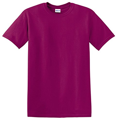 Image of Gildan Men's G500 T-Shirt