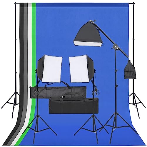 vidaXL Kit per Studio Fotografico con Set di Luci e Fondale