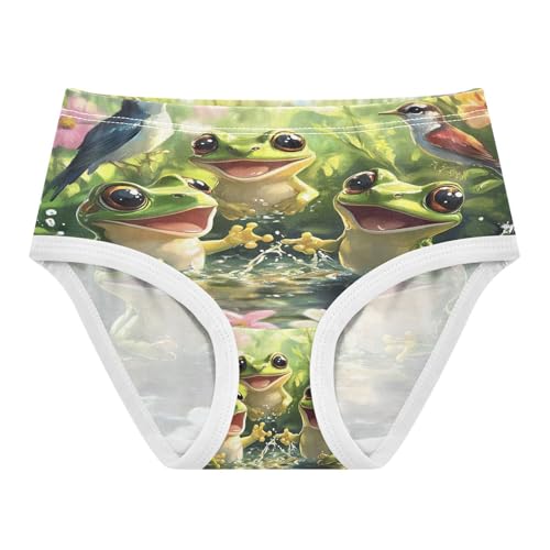 Three Frogs Birds Flower Toddler Girls's Underwear 2T 202b9006