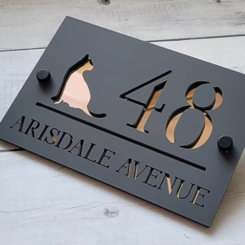 Plaque de numéro de maison moderne acrylique haut de gamme finition épurée 25 cm