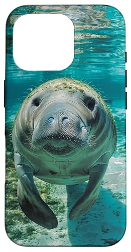 킢}ieB[ X}zP[X iPhone 16 Pro p