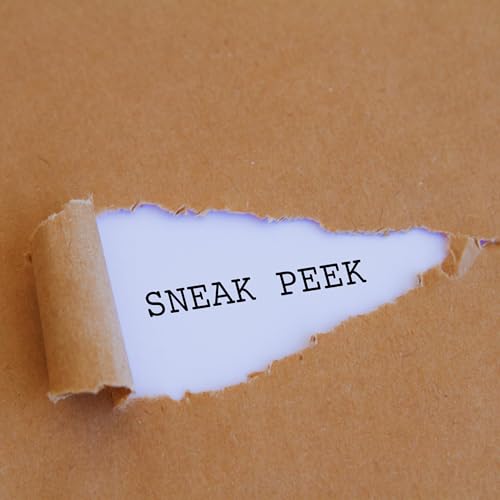 Sneak Peek: The Accountant