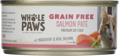 Image of Whole Paws, Grain-Free Wet Cat Food, Salmon Pate Loaf Recipe, 5.5 Ounce (Pack of 5)