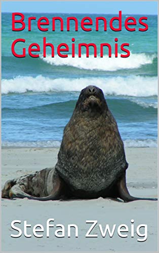 Brennendes Geheimnis (illustrated) (German Edition)