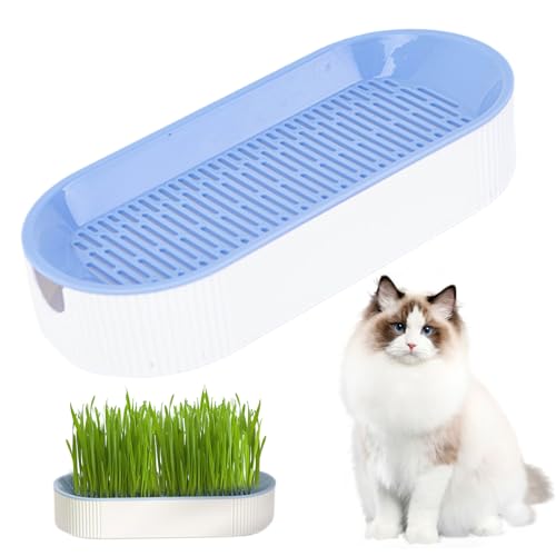Rwigeboo Macetero de Hierba para Gatos, Doble Capa, Desmontable, hidropónico, para Gatos, PP, 8, 3x3, 6x1, 8 Pulgadas, Suministros para Kit de Cultivo de criadero doméstico, sin Semillas
