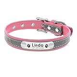 Adecuado para la mayoría de los perros, como: Bulldog, Chihuahua, Beagle, Yorkshire Terrier, Labrador, Golden Retriever, Huskies, Dachshund, etc.