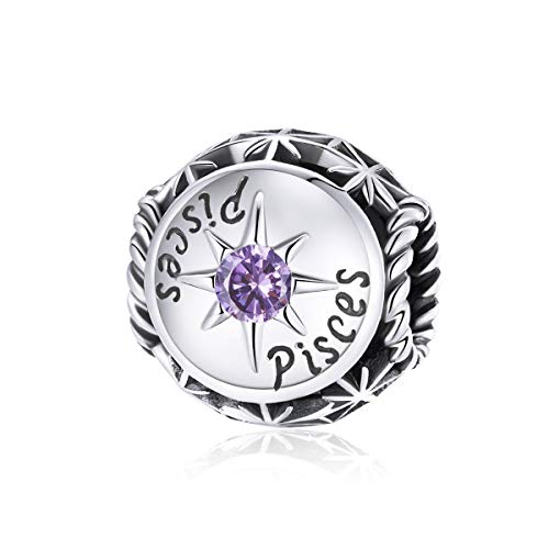 Image of 12 Constellation Charms 925 Sterling Silver Crystal Zircon Charms Family and Friends' Birthday Charm Birthstone Charms for Women Bracelets