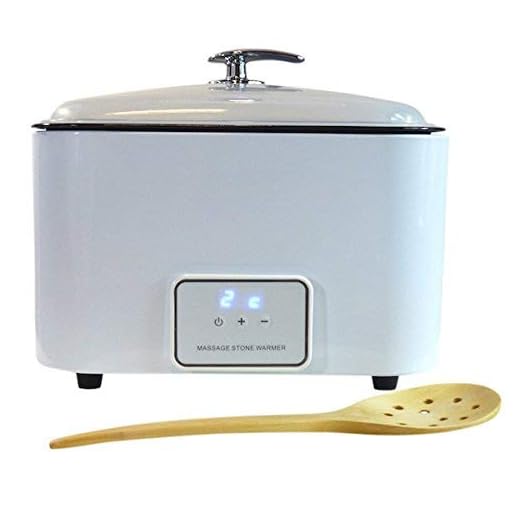 Omwah Professional Digital Warmer for Hot Basalt Stone Massage Treatment