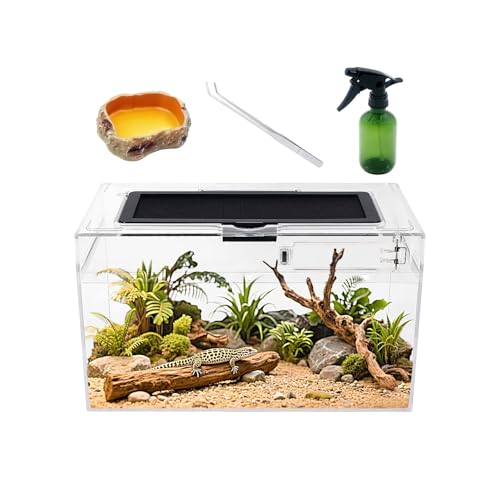 Reptile Plastic Terrarium Set,12" x 7"x 6" Low Reptile Tank with Full View Visually Appealing，for Insect，Fish，Tarantula，Hermit Crab，Jumping Spider，Iguana，Tortoise，Leopard Gecko，Frog，Bearded Dragon