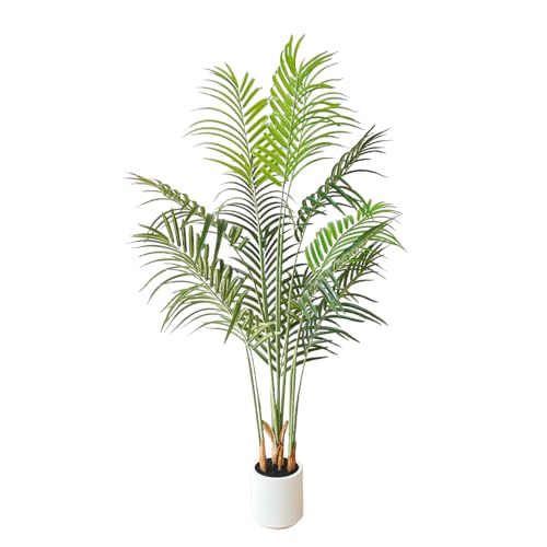 RAKU tFCNO[ lHϗt ϗtA p  Vv ItBX  CeA ^   lH j ̓ (AJV 140cm)