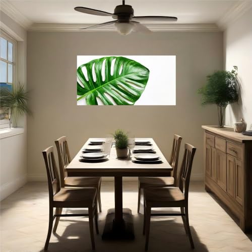 Vinilo autoadhesivo monstera resistente de gran tamaño 120l x 80an cm 5