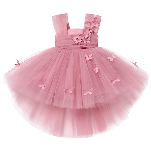 Toddler Flower Girl Tulle Tutu Dress Butterfly Toddler Girl Wedding Formal Birthday Outfits Cake Smash Tea Party Baptism Easter Dresses 1st Communion Christening Tulle Dress Dusty Pink 18-24Months