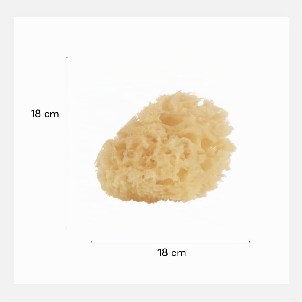 Jané Éponge Naturelle pour Bébé, Lot de 2, Douce et Absorbante, Adaptée dès la Naissance, Hygiène Bébé
